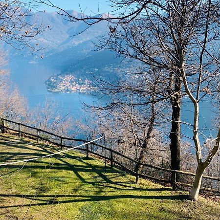 Il Riccio Appartamento 케르노비오 외부 사진